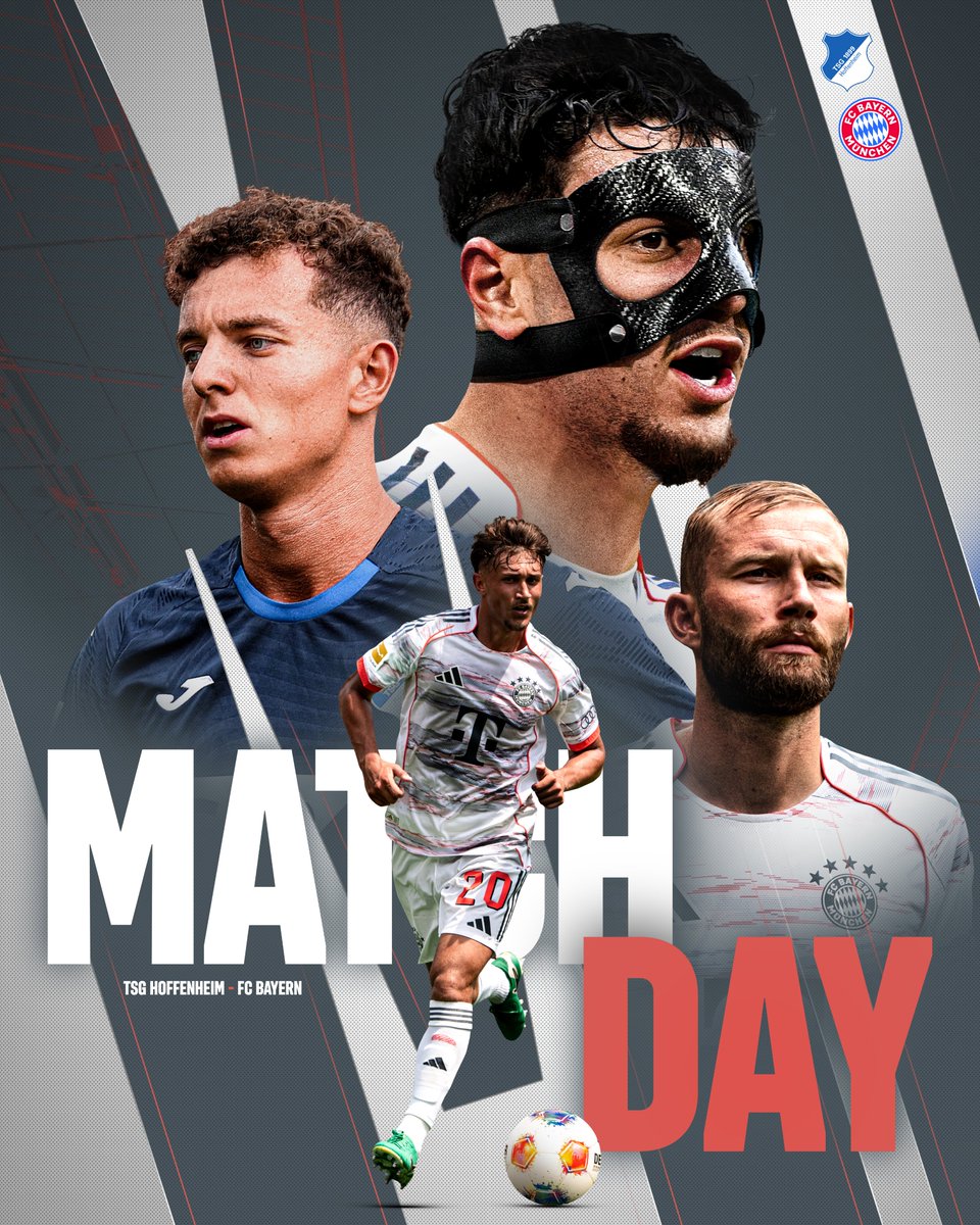 比赛的对手, 霍芬海姆