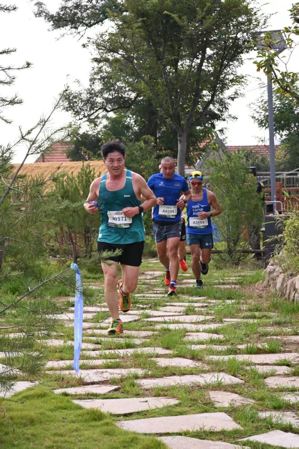 https, 基地 https, 基地